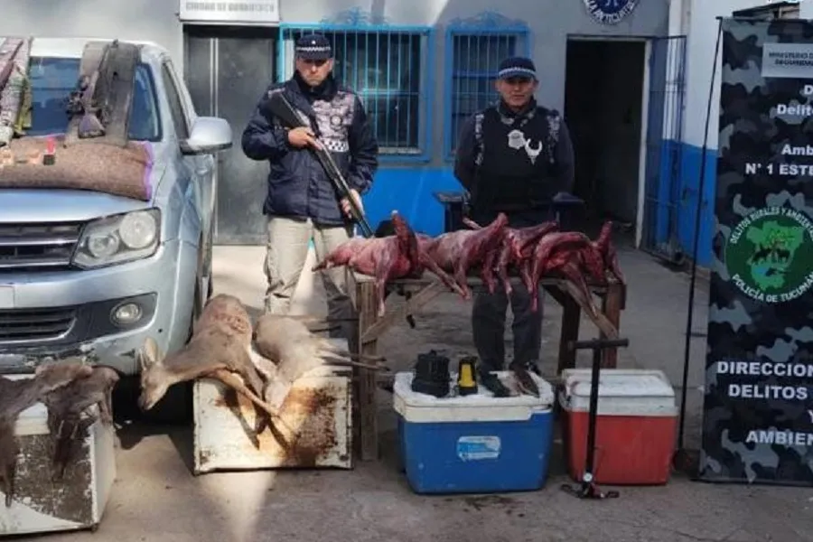 Tenían la camioneta llena de corzuelas muertas: secuestran armas empleadas en la caza furtiva