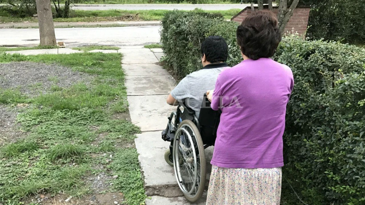 Importantes cambios en el certificado único de discapacidad: conocé todas las modificaciones