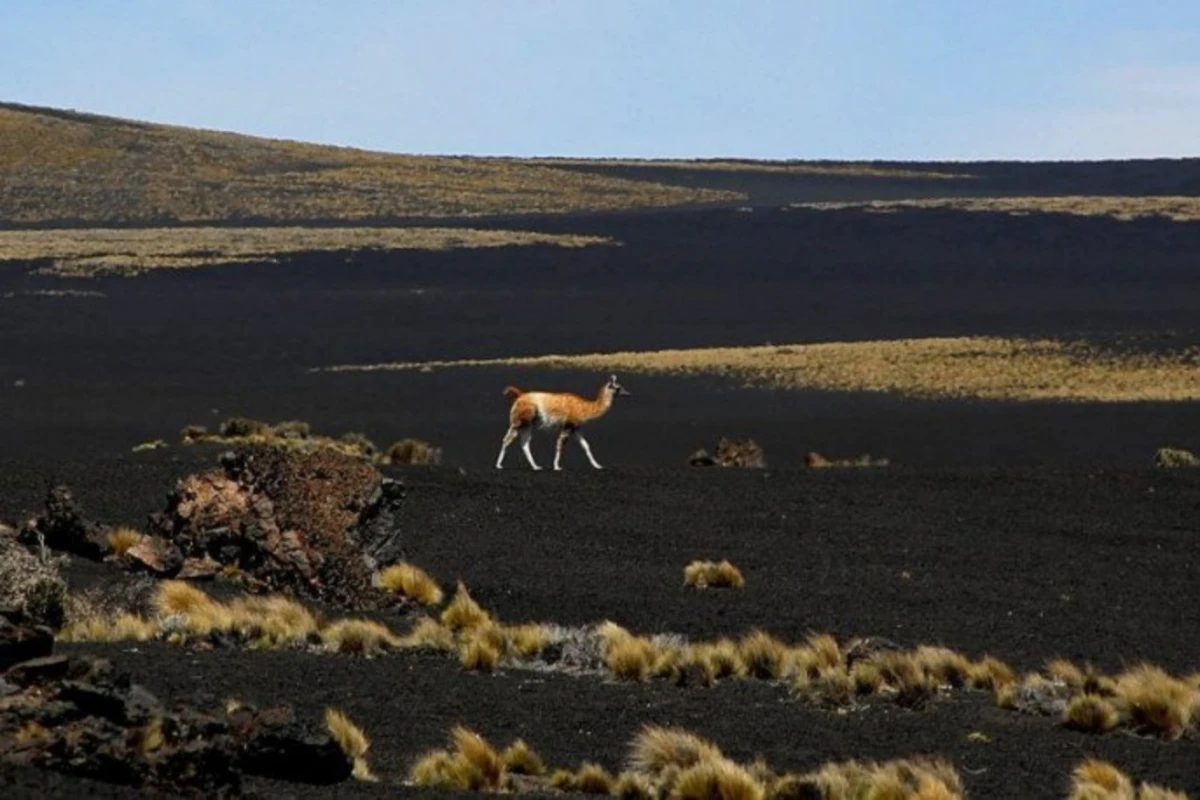 Conocé el desierto negro: está en Mendoza y parece un paisaje de otro planeta