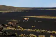 Conocé el desierto negro, un viaje a otro planeta sin salir de Argentina