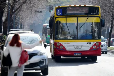 Es oficial: se puso en marcha el mecanismo para renunciar a los subsidios del transporte