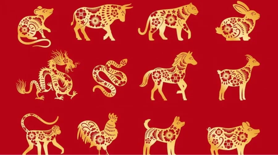 Horóscopo chino: cuáles son los signos que tendrán grandes novedades los próximos días