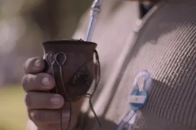 ¿Tomar mate es igual a tomar agua? La verdad detrás del mito