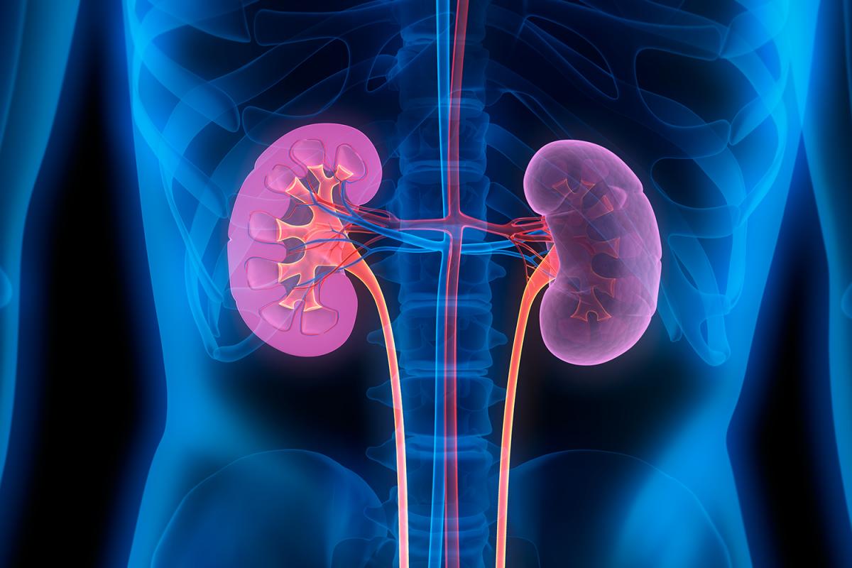 Nuevo tratamiento para la enfermedad renal crónica y riesgos cardiovasculares en pacientes diabéticos tipo 2