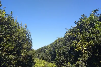 En una jornada técnica abordaron diversos aspectos relacionados con el compostaje