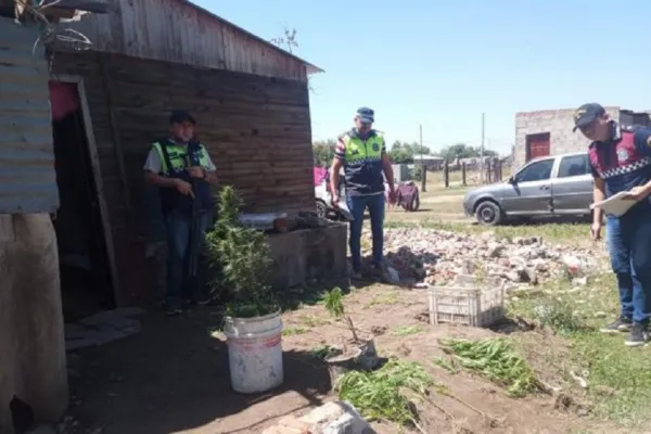 Investigaban el robo a una escuela y encontraron droga