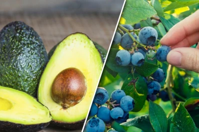 Las frutas tradicionales continúan en caída