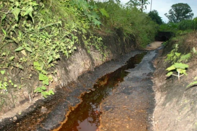 Múltiples beneficios de un producto logrado con residuos