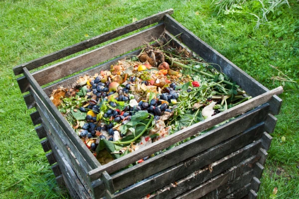 El uso del compost beneficia a los suelos y a los cultivos