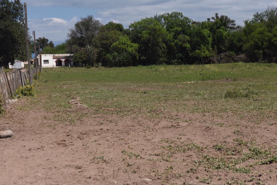 AL FRENTE. Esta zona de la finca por muchos años fue imposible de cultivar, ni las malezas crecían.