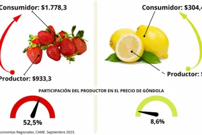 Precios de los agroalimentos: el consumidor pagó $3,7 por cada $1 que recibió el productor