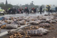 Así fue el momento en el que un grupo de vecinos intentó llevarse papas de un camión volcado