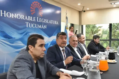 Mansilla, al frente de Juicio Político