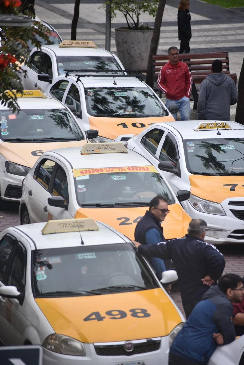 Tarifa de taxis en el Sur: el nuevo Concejo Deliberante tratará la suba el lunes