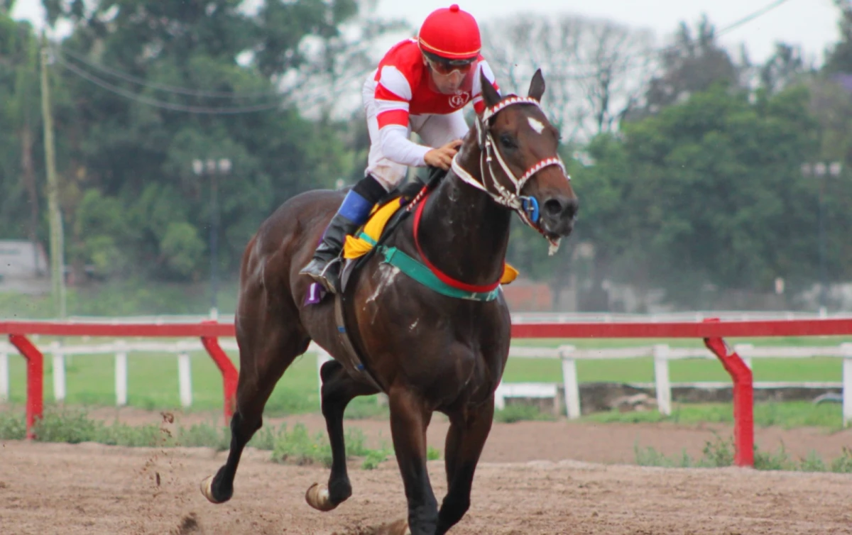 Turf: los santiagueños festejaron en las pruebas jerárquicas