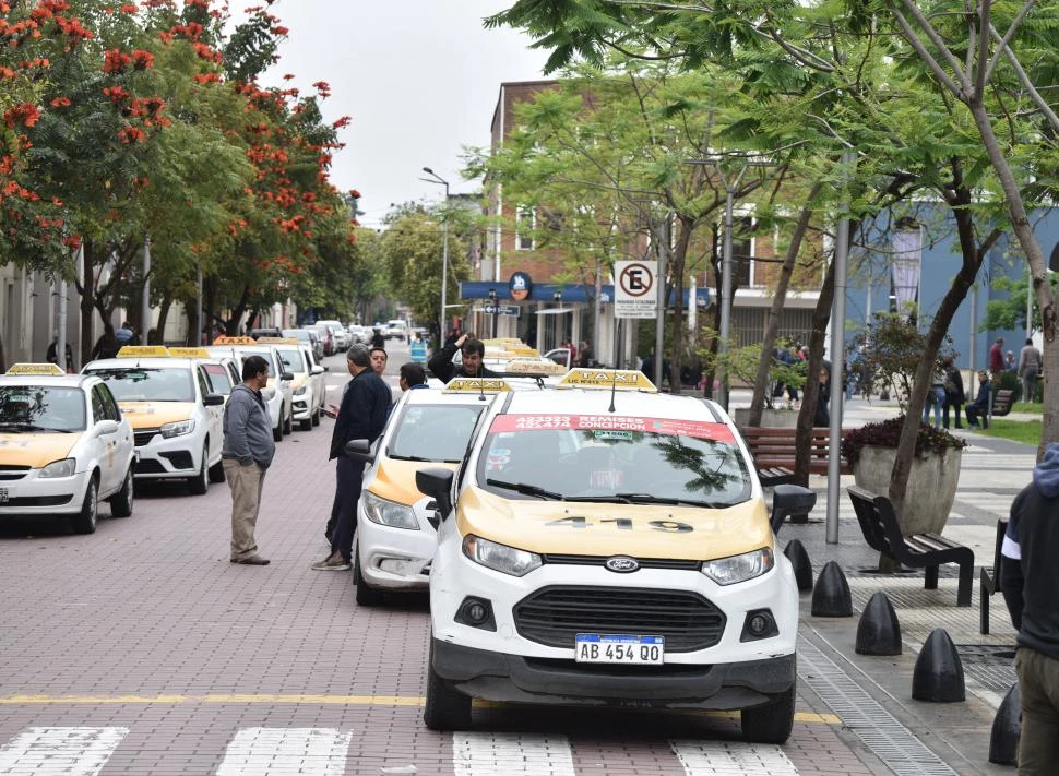 PROTESTA. Hace un par de semanas los taxistas pararon en la plaza. la gaceta / foto de osvaldo ripoll