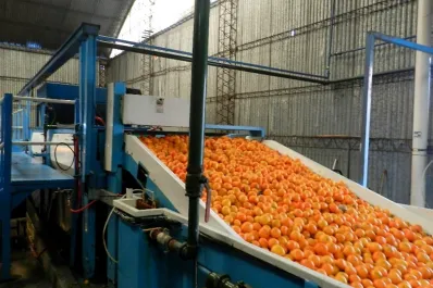 La Argentina ocupa el séptimo lugar como productor citrícola a nivel mundial