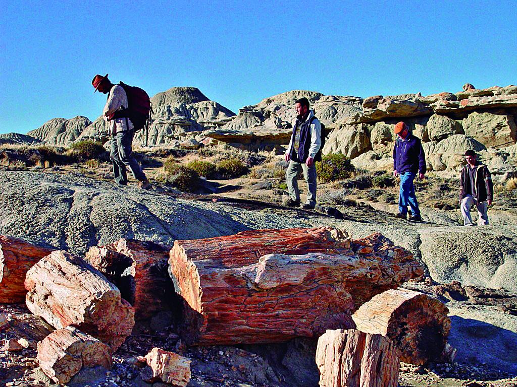 Vacaciones 2023/24: cinco lugares para visitar en El Chaltén y no perderte nada