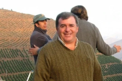 Según un experto, el citrus no solo está en crisis en la Argentina