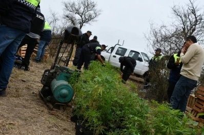 El secuestro de plantas de marihuana de Trancas fue récord