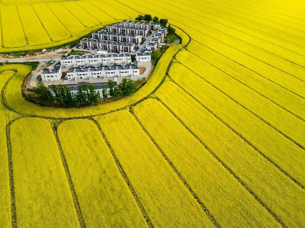 ENTRE CAMPOS AMARILLOS. En Vistas Aéreas se impuso la polaca Agnieszka Wieczorek. fotos de nature.org