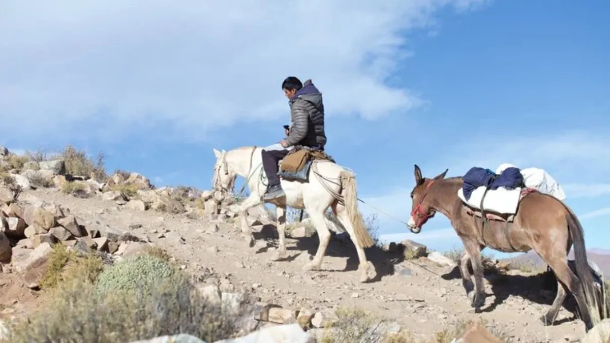 Elecciones 2023: quién ganó la primera vuelta en los lugares más inhóspitos del norte argentino