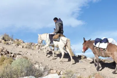 Elecciones 2023: quién ganó la primera vuelta en los lugares más inhóspitos del norte argentino