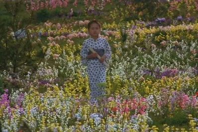 Proyectan filmes de Kurosawa y de Almodóvar en dos salas