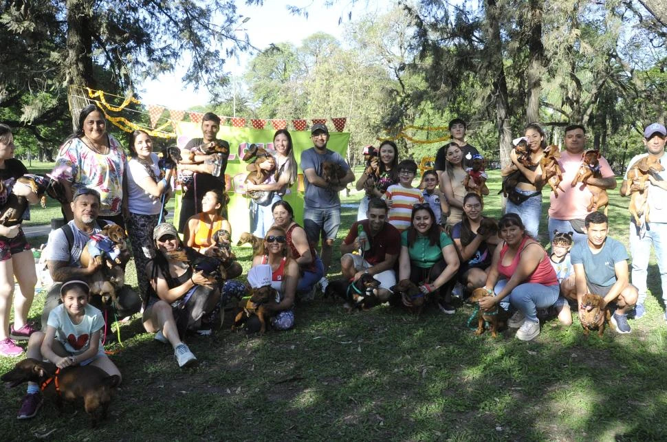 FIESTA IMPERDIBLE. Los perros salchichas se reunieron en el parque 9 de Julio. LA GACETA/FOTOS DE ANTONIO FERRONI