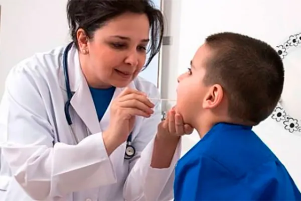 Salud investiga las causas del brote y las muertes por el Streptococcus: cómo actúa esta bacteria