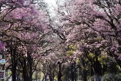 El cielo estará algo nublado y la temperatura cederá unos grados antes de tomar impulso el fin de semana