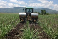 Fertilizar una hectárea de caña cuesta de $54.000 a $100.000