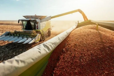 Reporte rural: el valor de las estadísticas agropecuarias