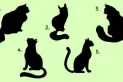 Test de personalidad: Elegí un gato y descubrí si tenés tendencia a manipular