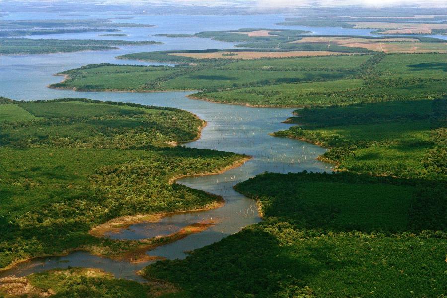 Esteros del Iberá, Corrientes.