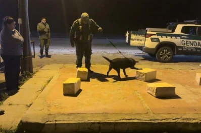 Ocho razones para entender por qué ganan los narcos