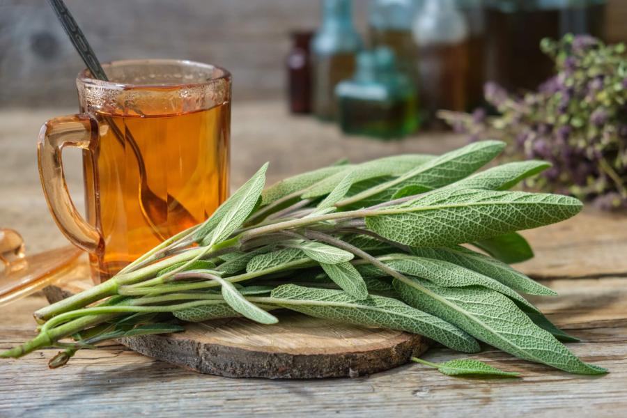 La salvia tiene múltiples beneficios para la salud