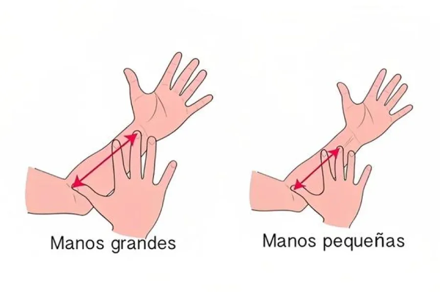 Test de personalidad: ¿Líder o rebelde? Medí tu mano con el antebrazo y conocé los resultados.