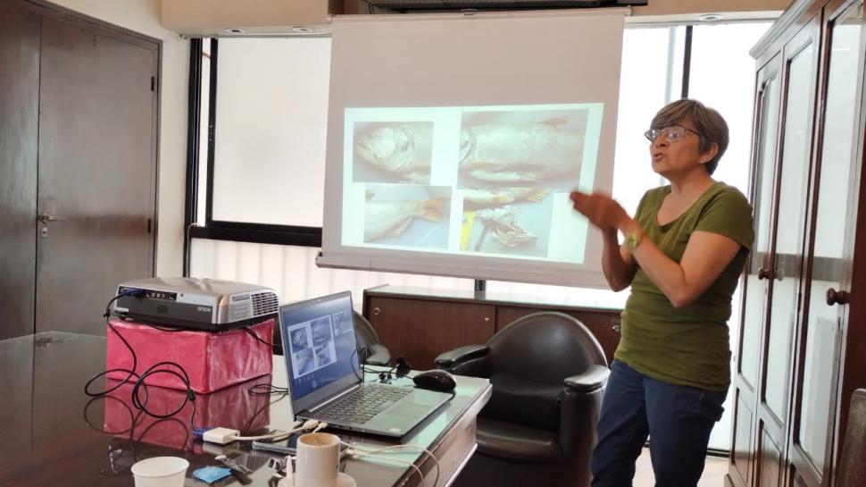 LOS DETALLES. En una reunión que se desarrolló ayer, especialistas de la Fundación Lillo explicaron su postura sobre el desastre ecológico..