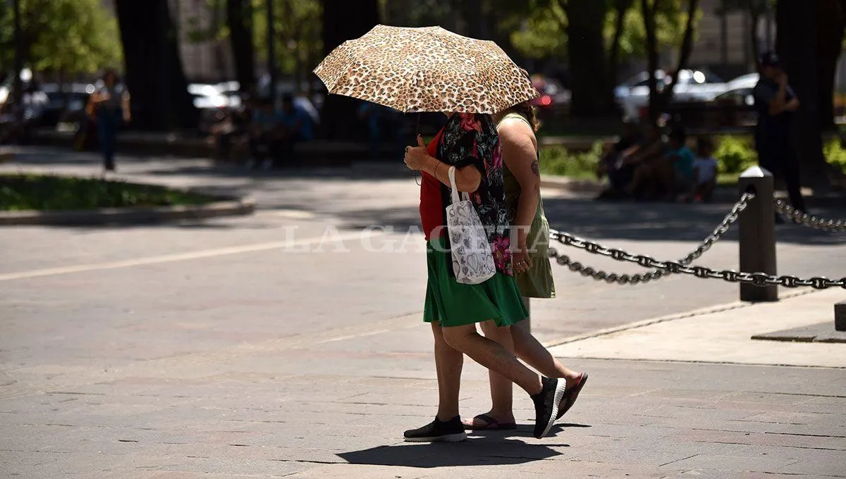 imagen archivo La Gaceta