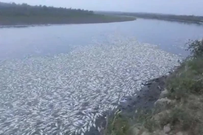La muerte de peces se habría registrado por una cuestión ambiental, no por contaminación