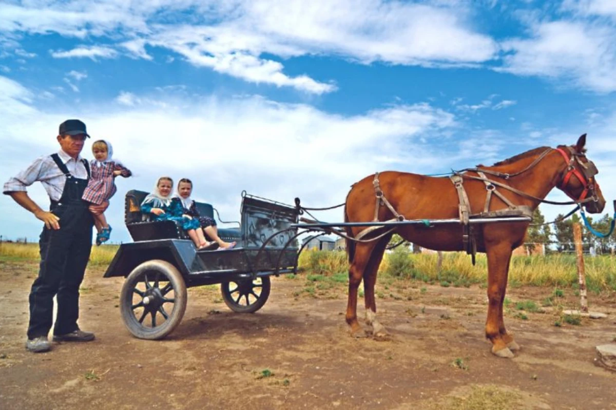 Hacer turismo en una colonia menonista