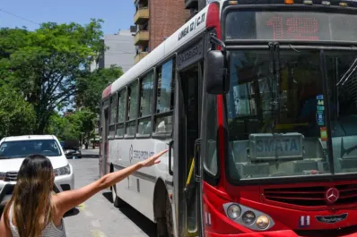 Fin de semana largo: cómo funcionarán los servicios el lunes feriado