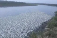 “Tenemos a gente intoxicada por el consumo del agua y de esos peces”