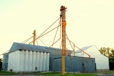 En Córdoba el trigo no llega a abastecer la industria local