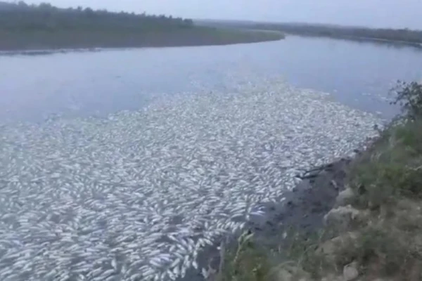 “Tenemos a gente intoxicada por el consumo del agua y de esos peces”