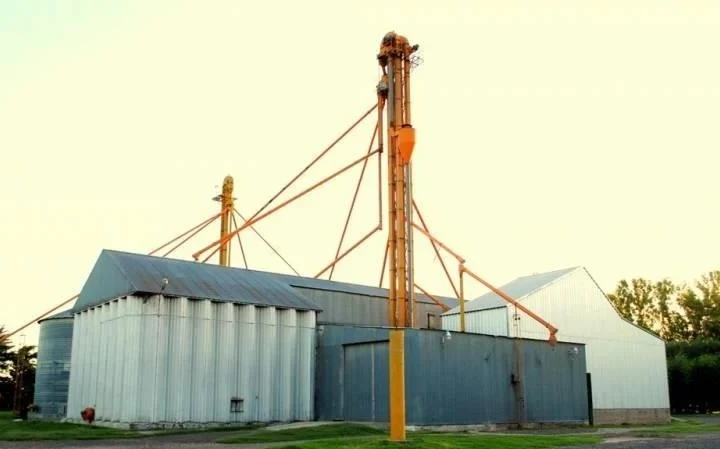 En Córdoba el trigo no llega a abastecer la industria local