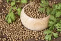 La infusión con propiedades relajantes: cuáles son los beneficios del té de cilantro