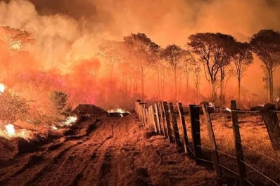 Brasil: el fuego se ceba con Pantanal, el mayor humedal del planeta