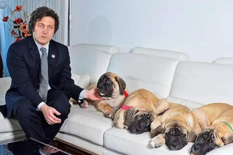 Desde los caniches de Perón hasta el clon de Conan, de Milei: la curiosa historia de los perros presidenciales